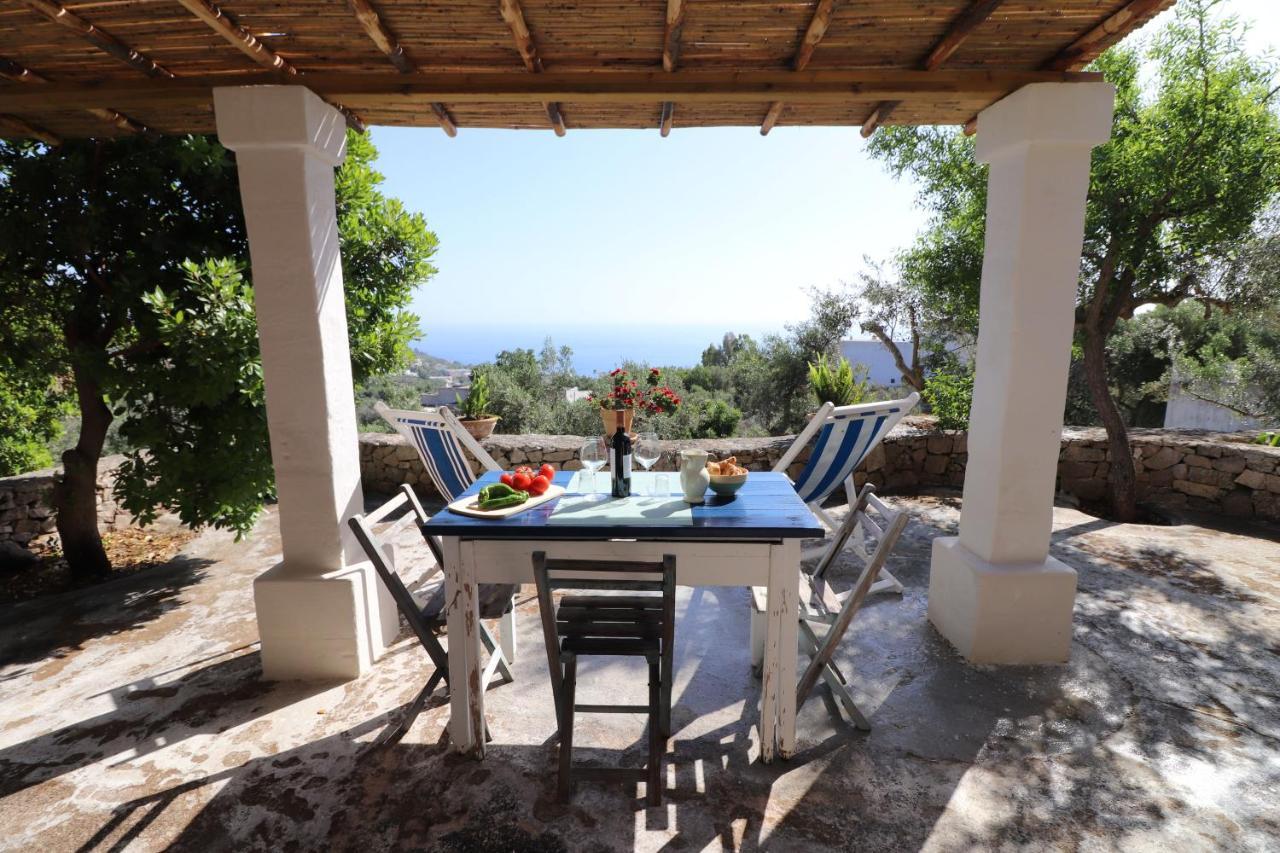 Casa vacanze Le Pajare Di Di Casa Camilla Journey *
